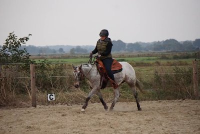 East Ranch