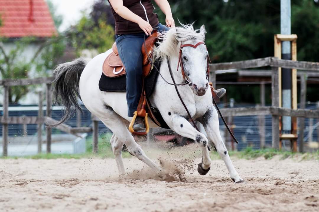 East Ranch