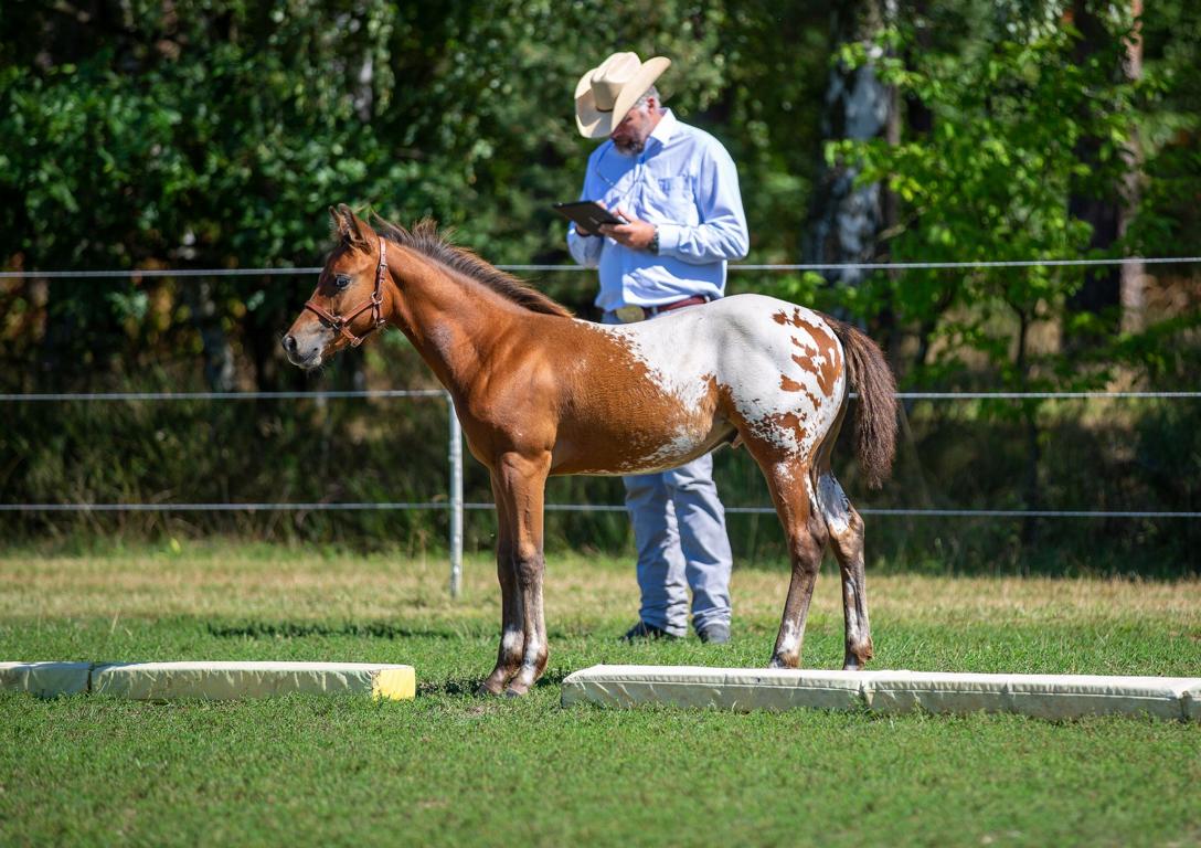 East Ranch