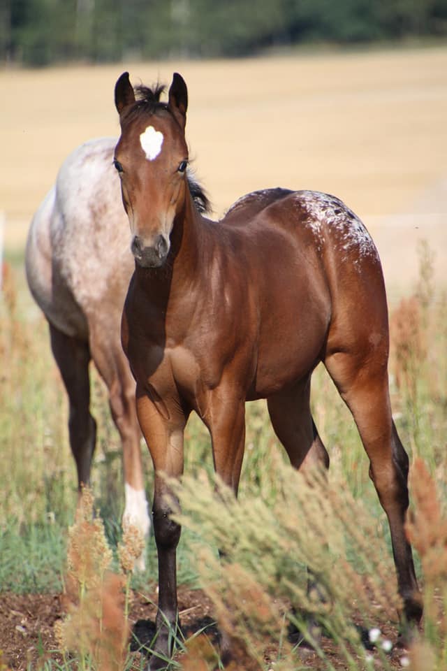 East Ranch