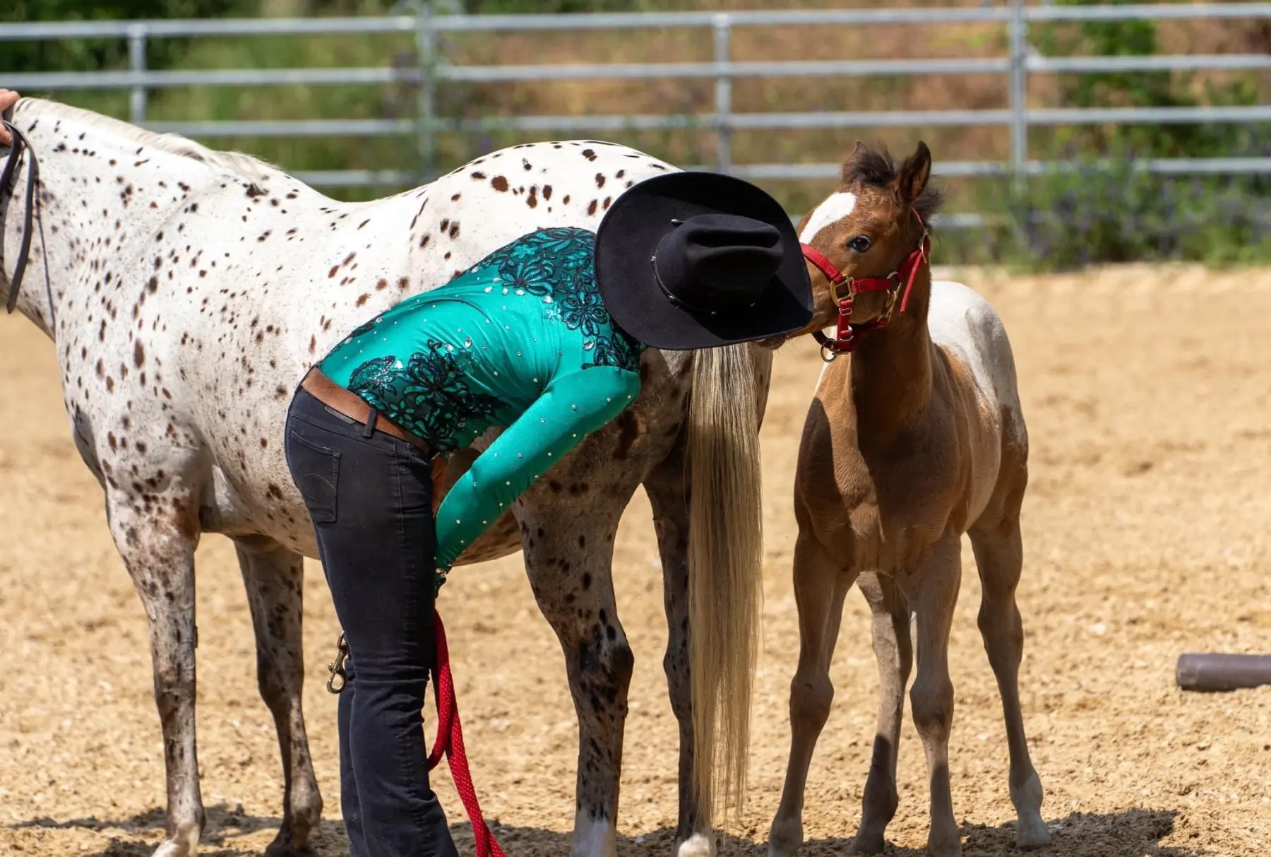 East Ranch