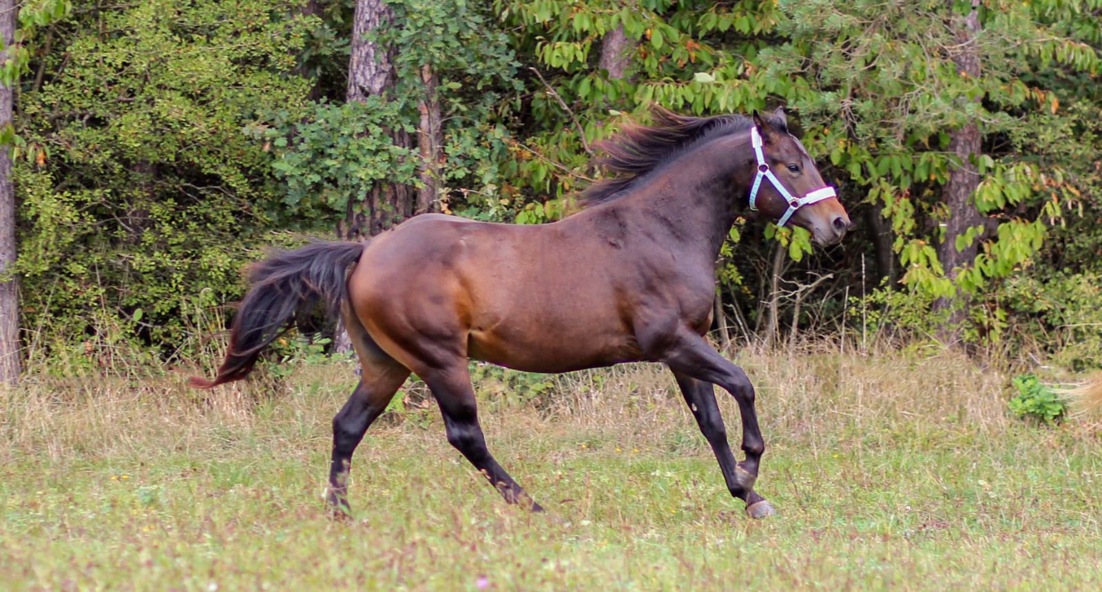 East Ranch