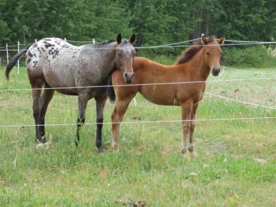 East Ranch